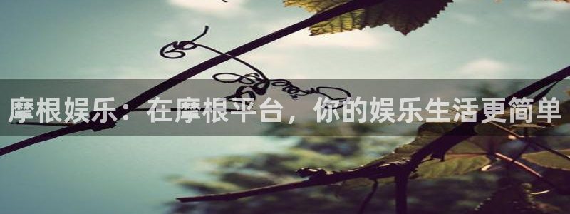 彩虹多多桌面