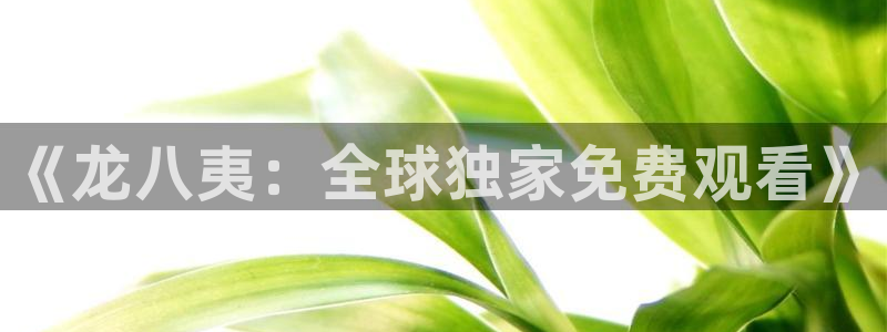 彩虹多多预测