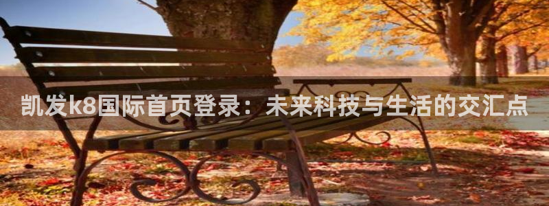 彩虹多多查票票下载