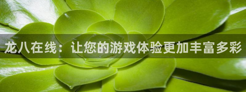 彩虹多多试机号走势图表