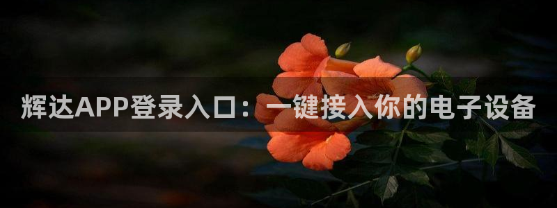 彩虹多多内购破解版