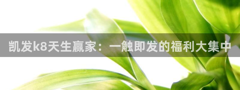 彩虹多多推荐的有人中吗