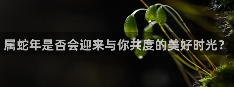 彩虹多多app官网下载安装