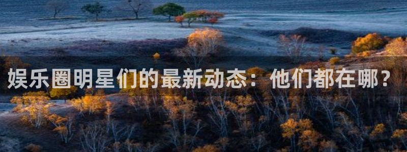 下载专家彩虹多多app