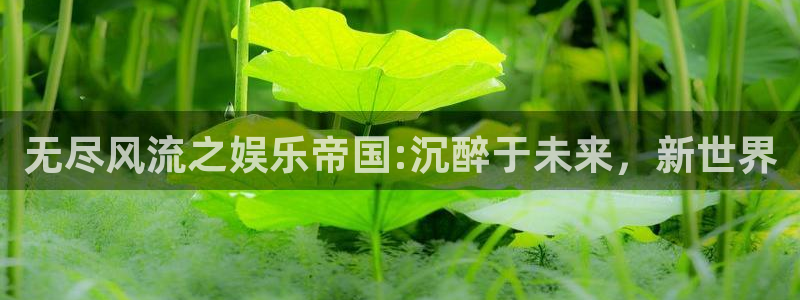 扫票查奖彩虹多多
