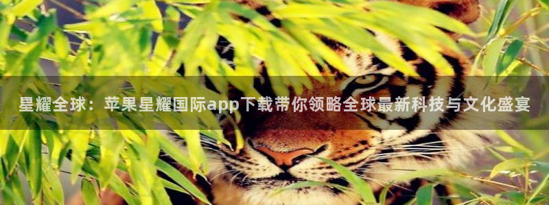 彩虹多多极速版安卓版