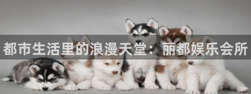 彩虹多多图库