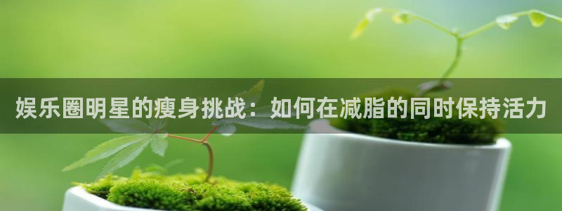 最新彩虹多多app下载