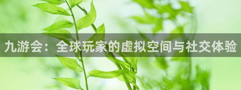 彩虹多多698免费版