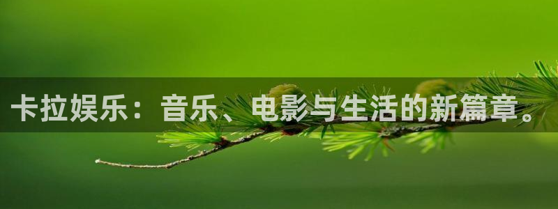 彩虹多多鸿蒙最新版本