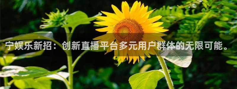 扫票查奖彩虹多多