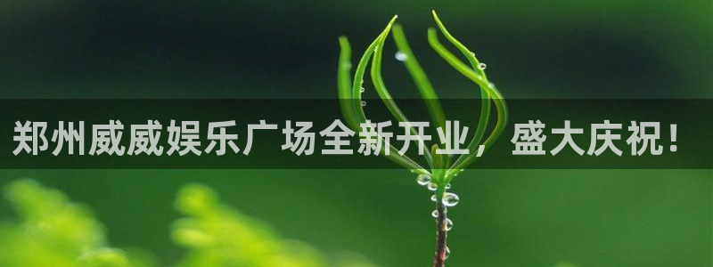 彩虹多多3d正版app