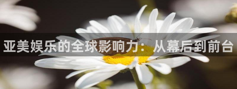 彩虹多多的