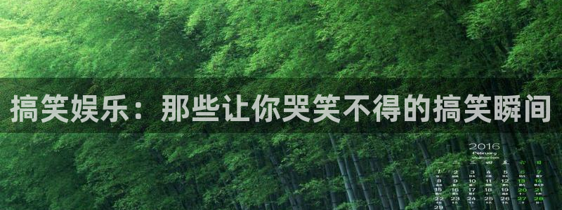 彩虹多多app在哪下