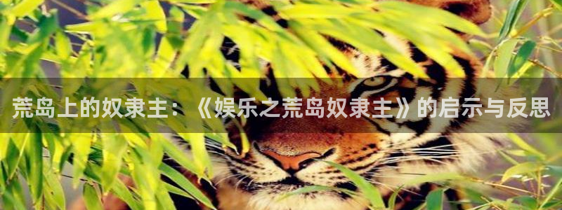 彩虹多多app极速版：荒岛上的奴隶主：《娱乐之荒岛奴隶主》的启示与反思