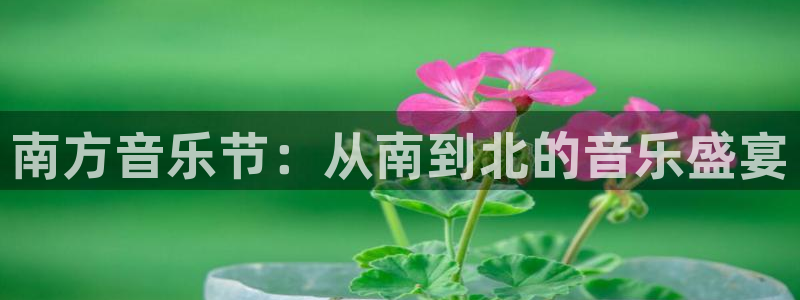 彩虹多多打不开原因：南方音乐节：从南到北的音乐盛宴