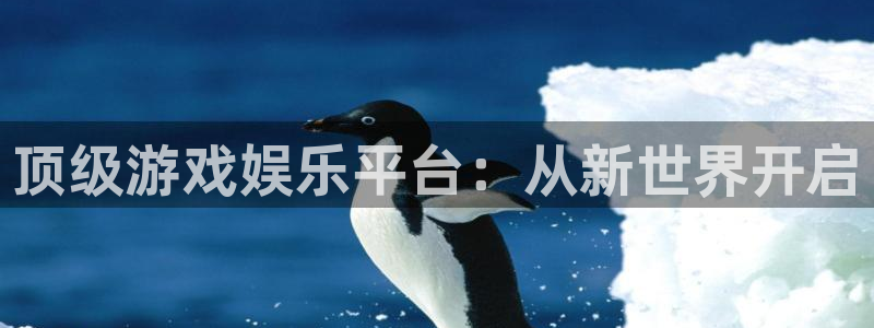 彩虹多多2025：顶级游戏娱乐平台：从新世界开启