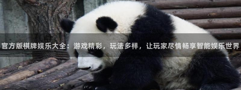 彩虹多多旧版本：官方版棋牌娱乐大全：游戏精彩，玩法多样，让玩家尽情畅享智能娱乐世界