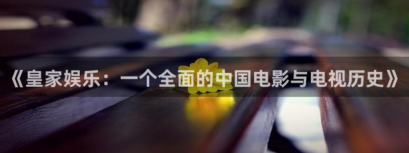 彩虹多多极速：《皇家娱乐：一个全面的中国电影与电视历史》