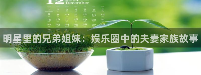 下载彩虹多多极速版：明星里的兄弟姐妹：娱乐圈中的夫妻家族故事