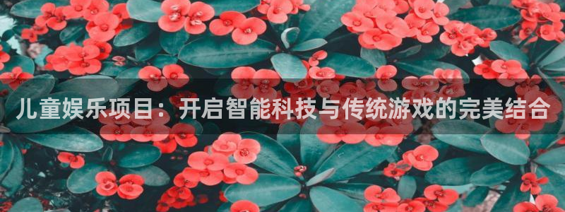 彩虹多多模拟选号：儿童娱乐项目：开启智能科技与传统游戏的完美结合