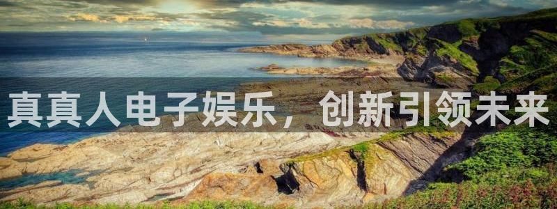 彩虹多多1.9.8版本下载：真真人电子娱乐，创新引领未来
