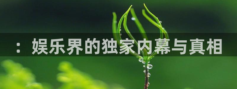 彩虹多多app破解版：：娱乐界的独家内幕与真相