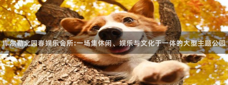 彩虹多多试机号：库尔勒北园春娱乐会所:一场集休闲、娱乐与文化于一体的大型主题公园