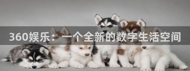 下载专家彩虹多多app：360娱乐：一个全新的数字生活空间