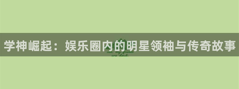 彩虹多多3d：学神崛起：娱乐圈内的明星领袖与传奇故事